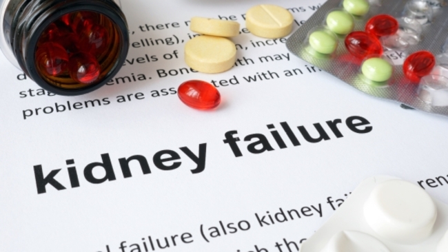 Top doctors, experts to attend kidney conference next month