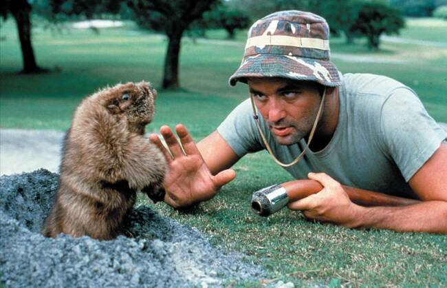 Caddyshack – Wahnsinn ohne Handicap im TV