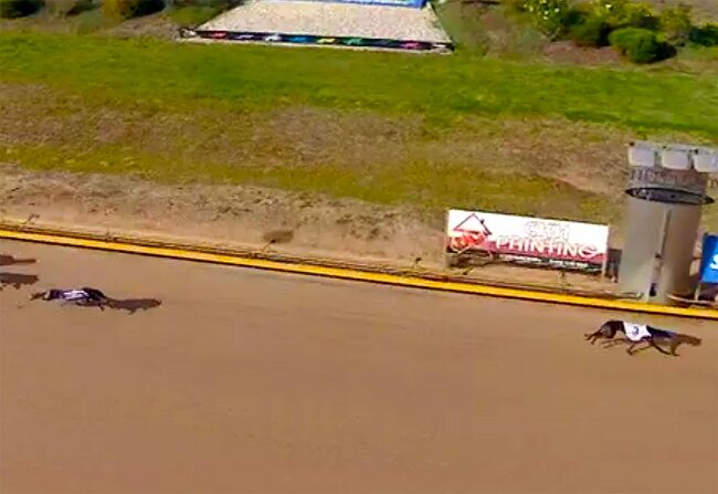 NZ import Postman Pat targets Brisbane Cup after two Australian wins