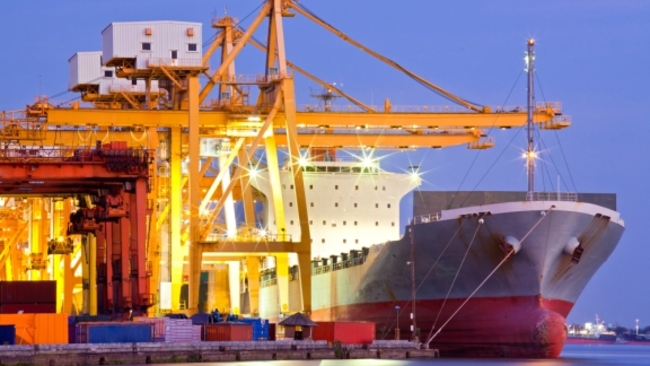 Shanghai's economy shows strong rebound with increased output