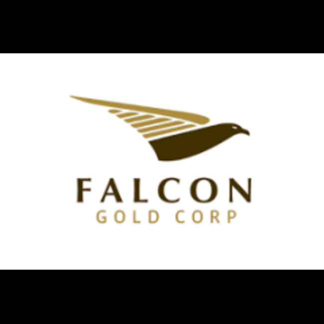 Falcon Gold (CVE:FG) Hits New 1-Year Low at $0.05