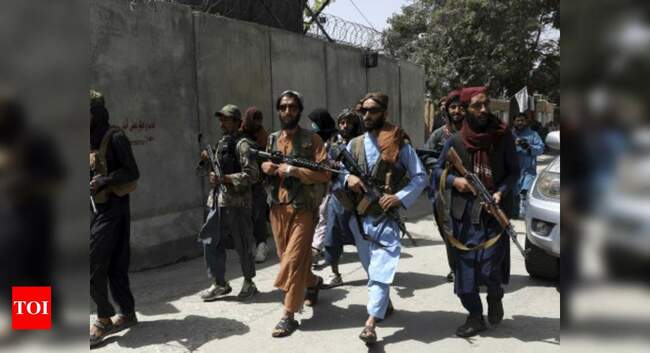 Pakistan backs Taliban with men, money, military aid, says expert