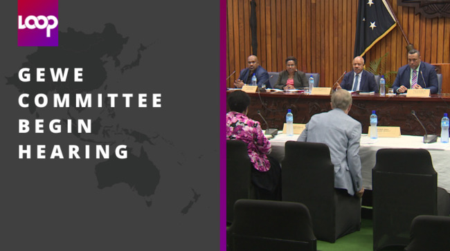 GEWE committee begin hearing