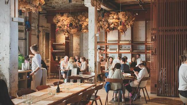 Savor Group eyes potential dividend