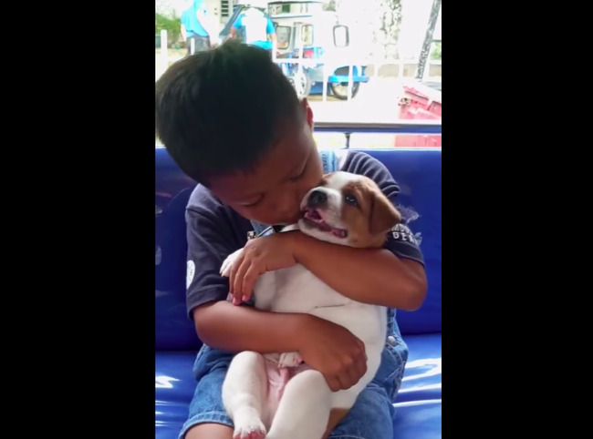 Heartwarming video of child and furbaby in jeep goes viral