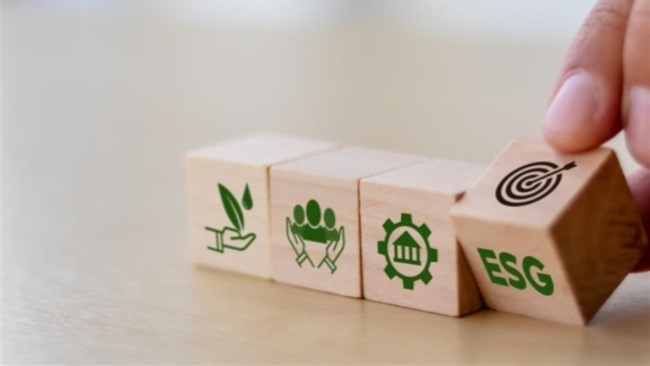 Survey sheds positive light on Chinese firms' ESG strategies
