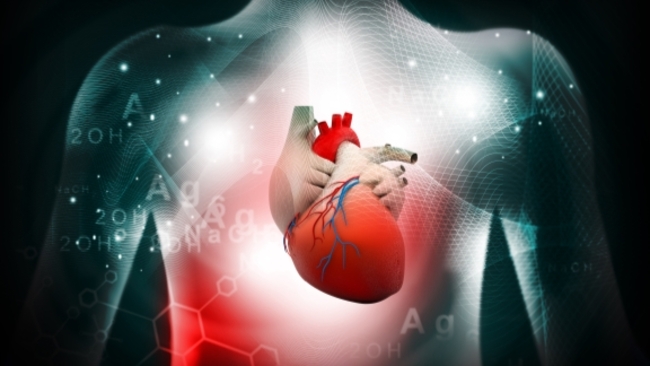 Training course launched for rural doctors for heart issues in cancer treatment