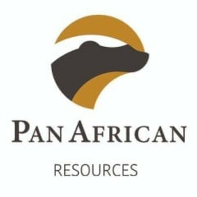 Pan African Resources (LON:PAF) PT Lowered to GBX 27 at Berenberg Bank