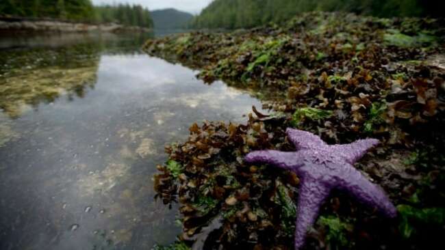 Provinces and territories agree to help Ottawa meet 2030 targets for protecting wild spaces