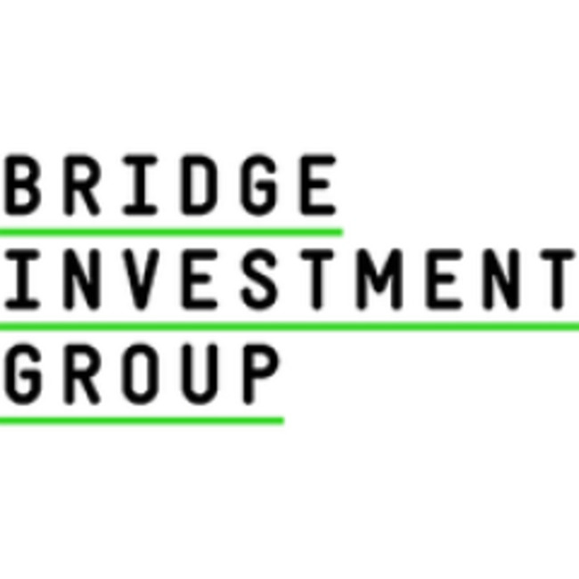Short Interest in Bridge Investment Group Holdings Inc. (NYSE:BRDG) Drops By 29.4%