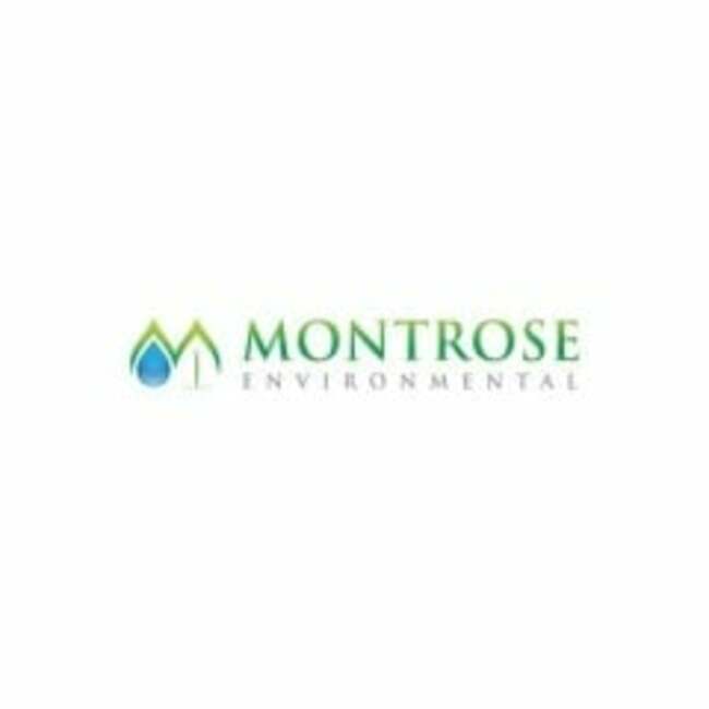 Short Interest in Montrose Environmental Group, Inc. (NYSE:MEG) Decreases By 37.7%