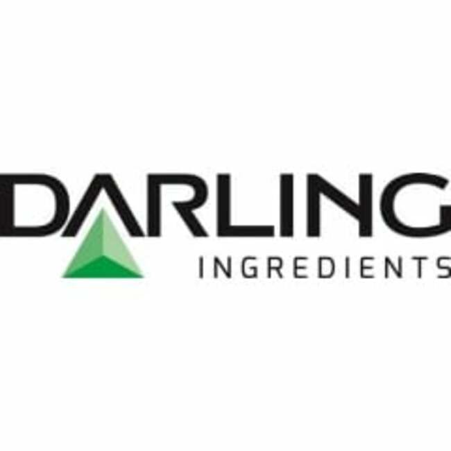 American International Group Inc. Sells 3,466 Shares of Darling Ingredients Inc. (NYSE:DAR)