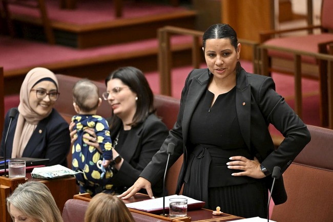 Webster accused of misleading public on Voice
