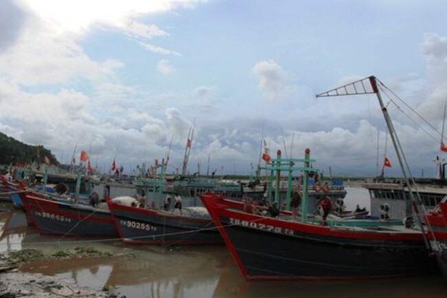 Thanh Hoa steps up communications against illegal fishing
