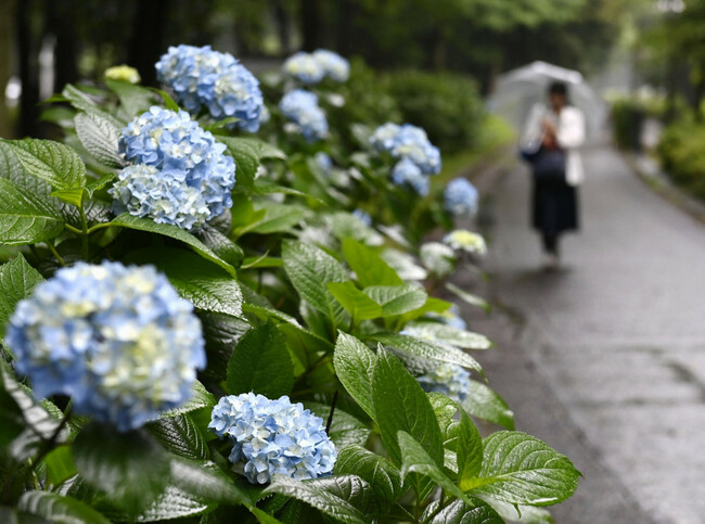 Kyodo News Digest: May 30, 2023
