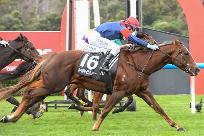 Sandown hat trick for Coffey