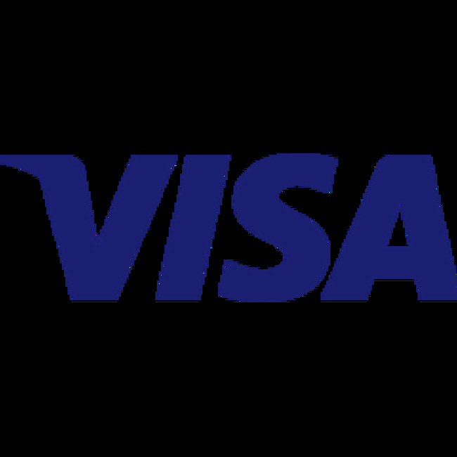 Barings LLC Has $1.85 Million Position in Visa Inc. (NYSE:V)