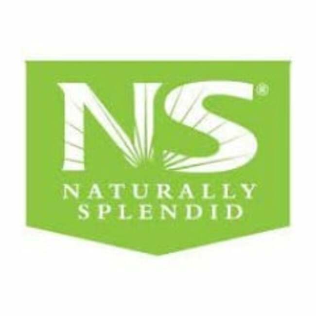 Naturally Splendid Enterprises (CVE:NSP) Hits New 52-Week Low at $0.03