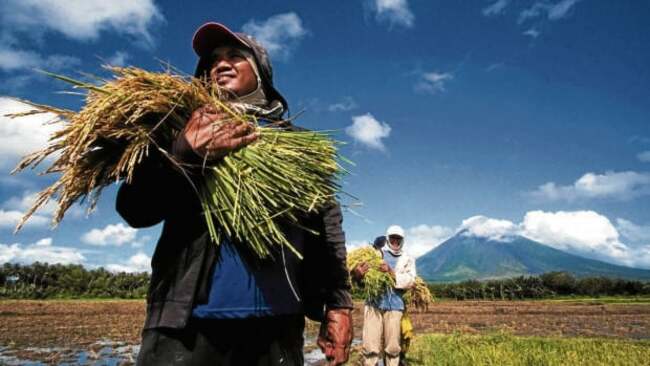 New farming technologies may encourage young people to do farming–President