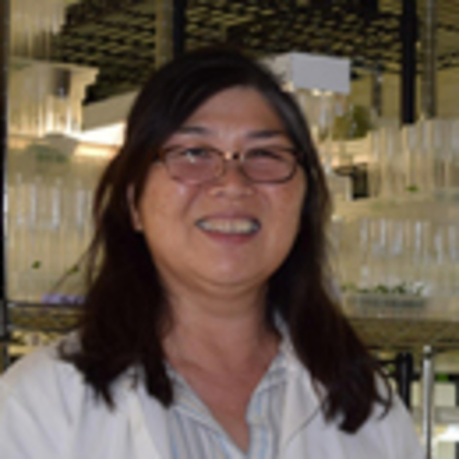 Lyon Arboretum Hawaiʻi rare plant expert retires after 35 years of service