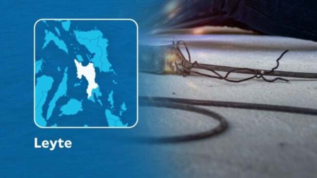 Another boy dies after touching live wire in Leyte