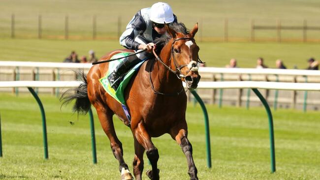 Epsom Derby 2023 tips: best bets for Saturday's race
