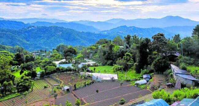 Baguio execs eye ‘heritage' tag for Ibaloy ancestral land