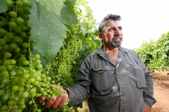 Efforts bear 2023 Dried Fruits Australia Quality Award