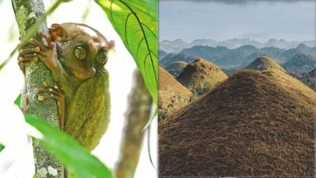 Bohol's beauty makes it first Unesco global geopark in PH