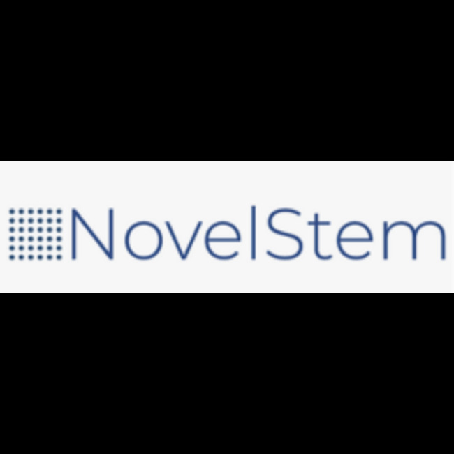 Newegg Commerce (NASDAQ:NEGG) versus NovelStem International (OTCMKTS:NSTM) Financial Contrast
