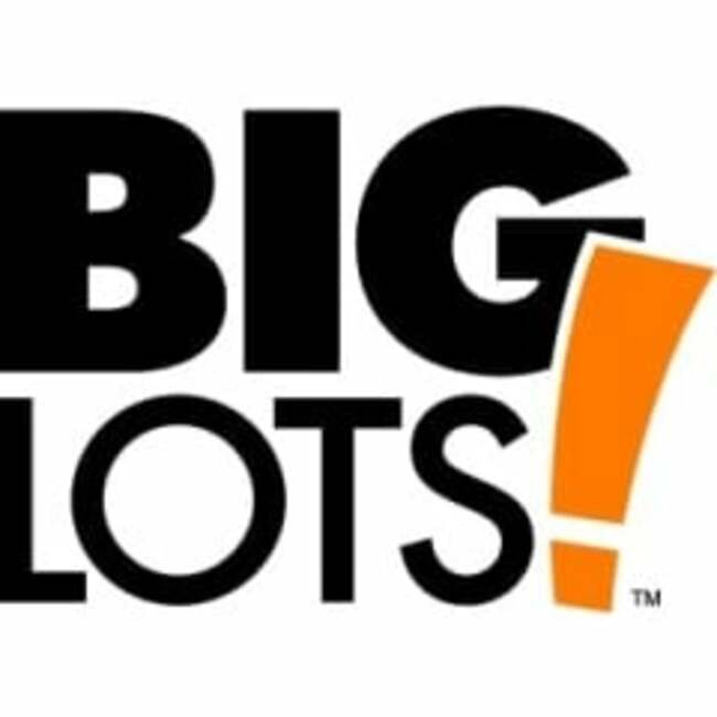 Big Lots, Inc. (NYSE:BIG) CEO Purchases $247,350.00 in Stock