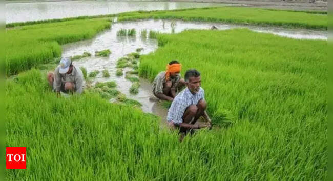 Digital Farming: Database of 8 crores land-owning farmers to be ready by December