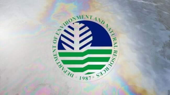 DENR planted ‘wrong' mangrove species, say advocates