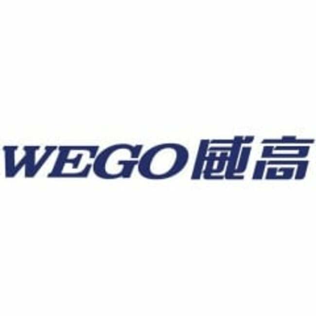 Shandong Weigao Group Medical Polymer (OTCMKTS:SHWGF) Sets New 12-Month High at $1.73