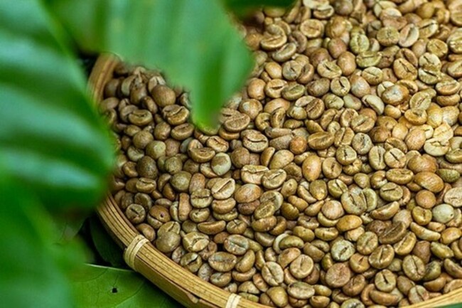 Vietnam's coffee export tops 2 billion USD in five months