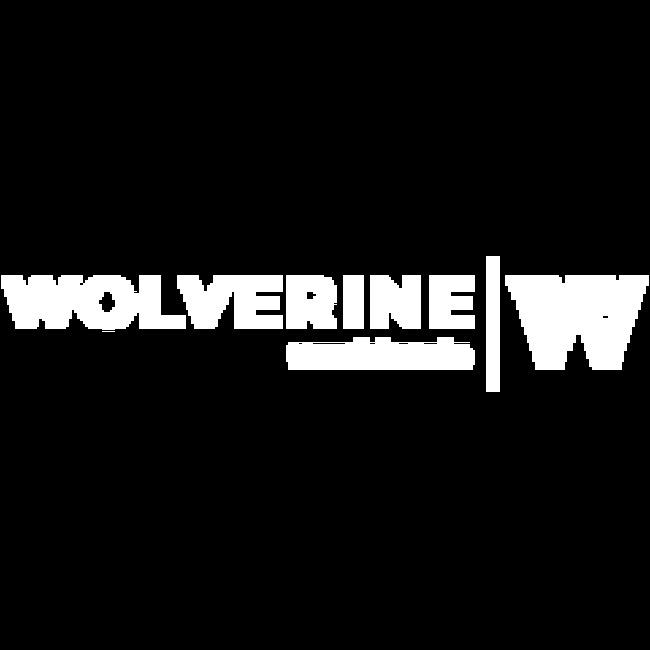 Wolverine World Wide, Inc. (NYSE:WWW) Director Brenda J. Lauderback Sells 3,050 Shares