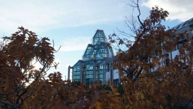 National Gallery of Canada appoints new director and CEO