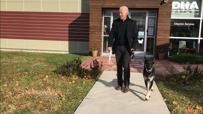 Long lines at Phillies games and a new state dog. Test your knowledge on a week of Delaware news