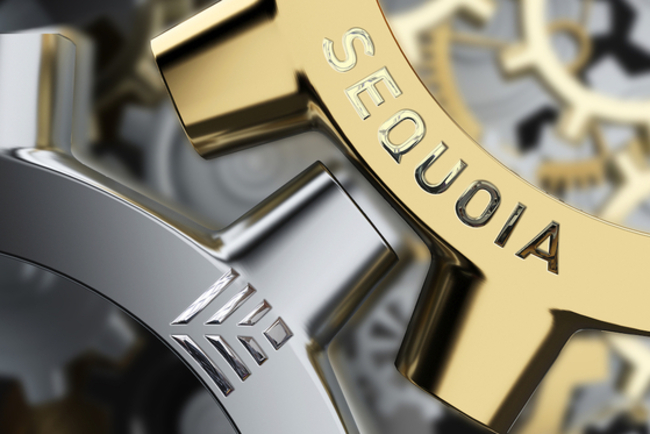 Sequoia's Overhaul Puts China Spinoff Under the Spotlight