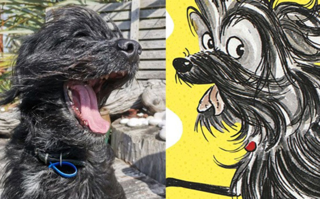 The search is on for the real-life Hairy Maclary