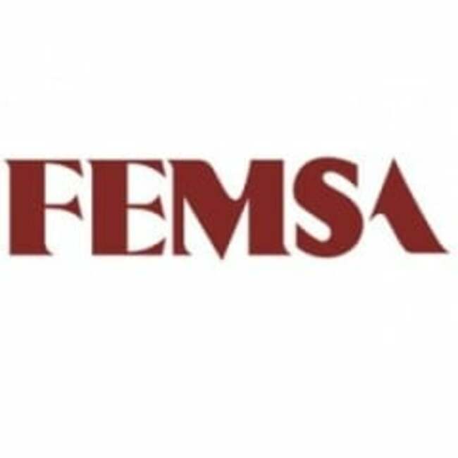 Dorsey Wright & Associates Purchases New Holdings in Fomento Económico Mexicano, S.A.B. de C.V. (NYSE:FMX)
