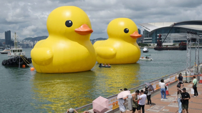 Double trouble: Rubber ducks come back to Hong Kong waters