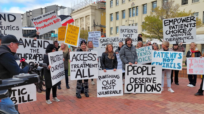 Petition organiser buoyed by support in Wellington