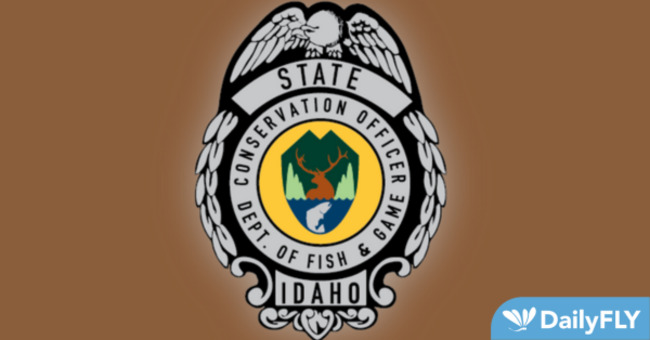 North Idaho Hunter Mistakenly Shoots Grizzly Bear