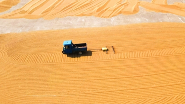 China donates more than 3,500 tons of grain to quake-hit Syria