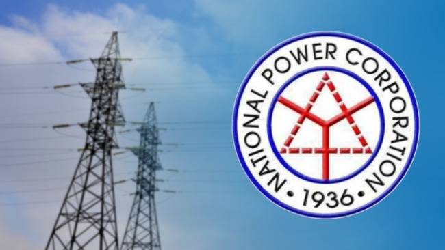 Napocor losing P1B a month, says chief