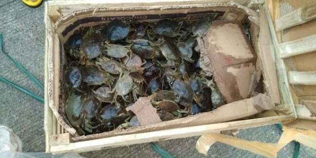 Crab fishers seek audience with BFAR; say regulation adversely affects livelihood