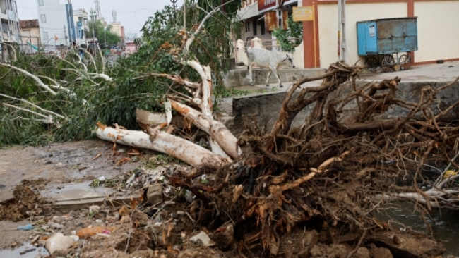 2 killed, 23 injured as Cyclone Biparjoy wreaks havoc in India's Gujarat