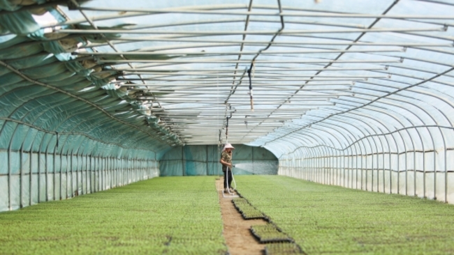 China's largest desert transforms into green development powerhouse for Xinjiang