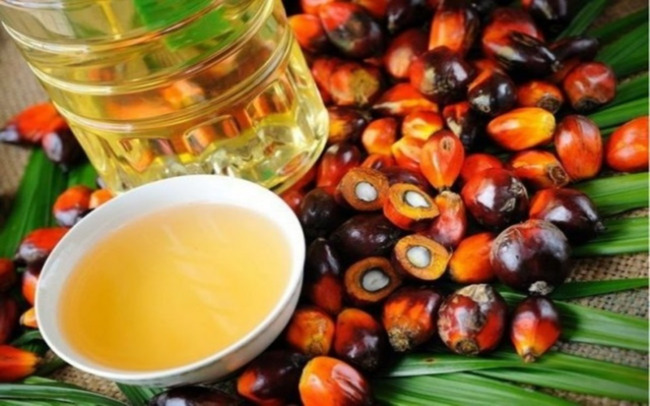 ALL PARTIES MUST PLAY THEIR ROLE IN ENSURING PALM OIL CONTINUES TO BE ACCEPTED BY THE MARKET